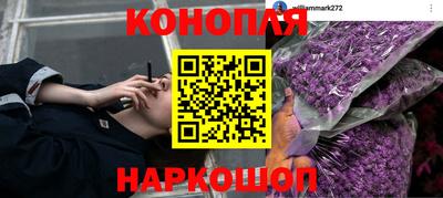 PSILOCYBIN Пугачёв