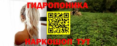 мдпв Партизанск