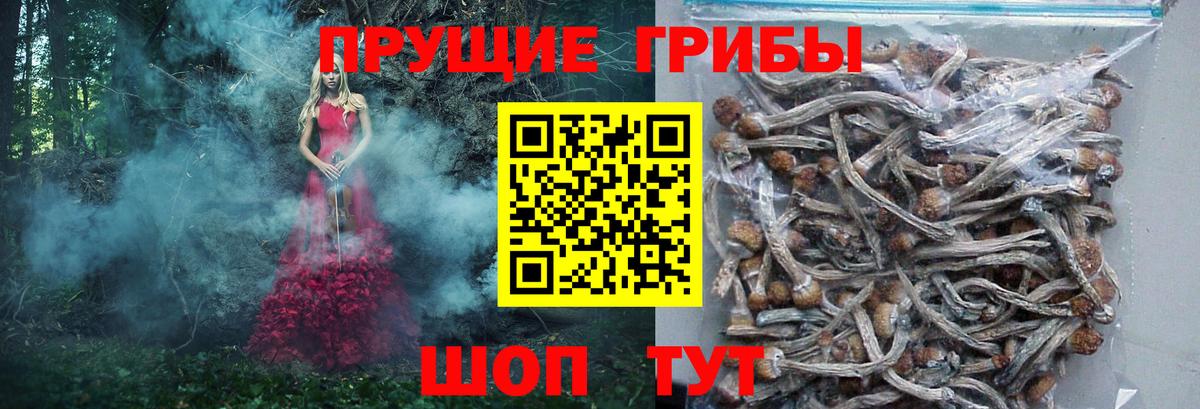 Галлюциногенные грибы GOLDEN TEACHER Сорочинск